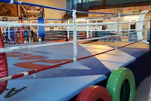 Boxing Club St Lois image