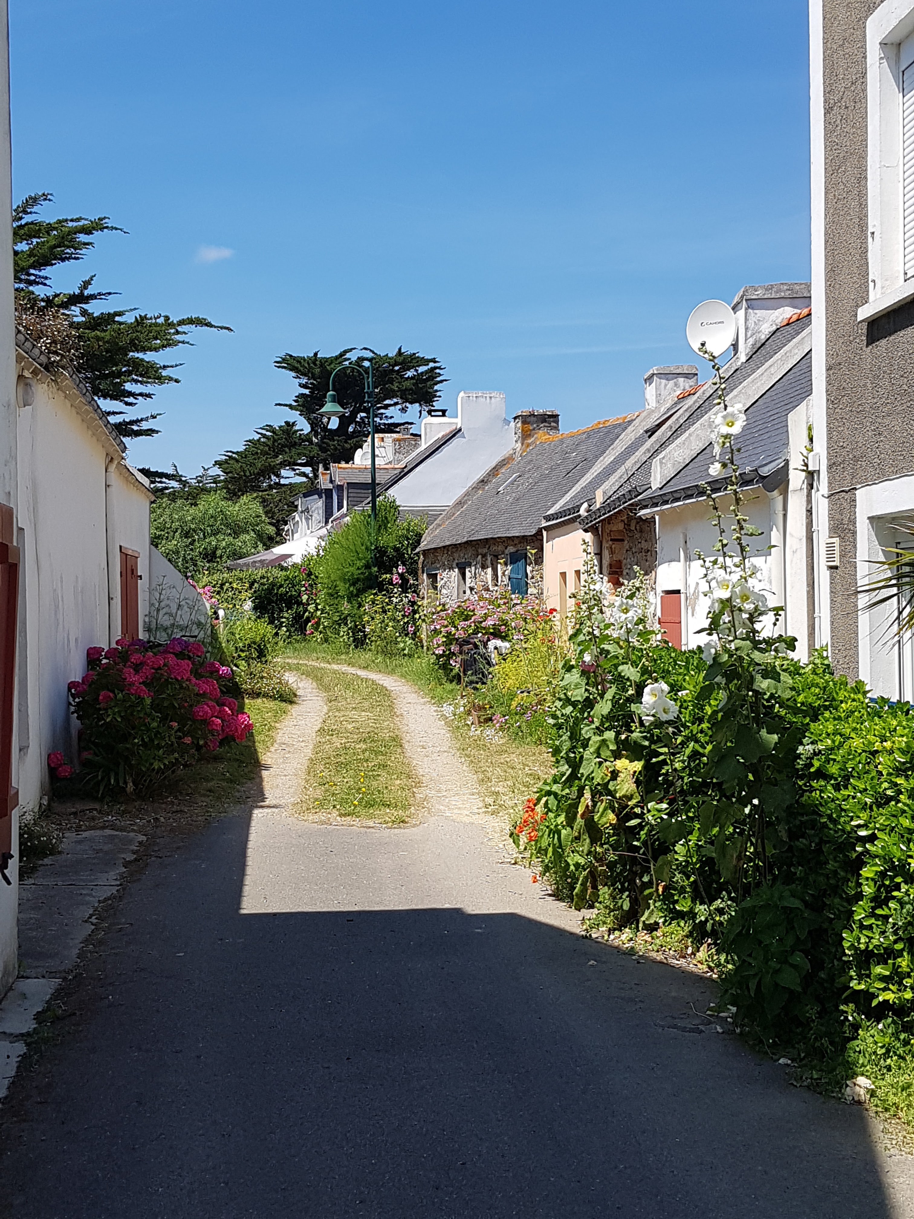 Photo n° 12 de l'avis de FREDERIQUE.a fait le 10/07/2019 à 09:59