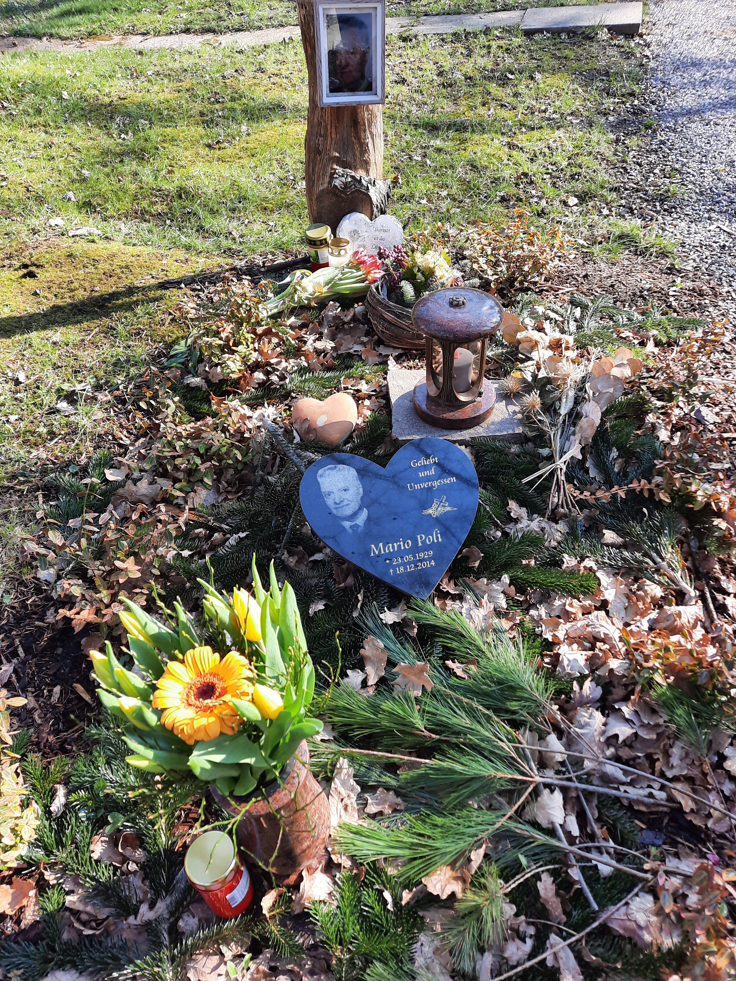 Photo n° 1 de l'avis de Norbert.o fait le 08/03/2021 à 16:12