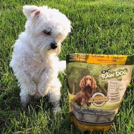 Pet Supply Store «Animal House Grooming & Quality», reviews and photos, 229 W Absecon Blvd, Absecon, NJ 08201, USA