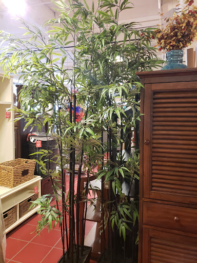 Home Goods Store «Pier 1 Imports», reviews and photos, 801 Horsham Rd, Montgomeryville, PA 18936, USA