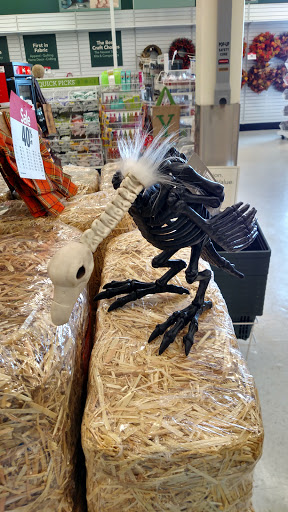 Discount Store «Big Lots», reviews and photos, 2136 E Markland Ave, Kokomo, IN 46901, USA