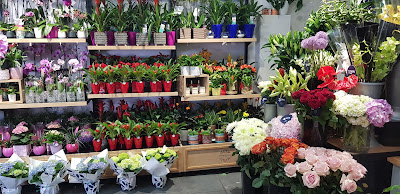 Monceau Fleurs à Nanterre