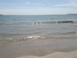 Playa de San Gabriel'in fotoğrafı vahşi alan