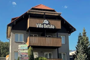 Villa Betula Resort image