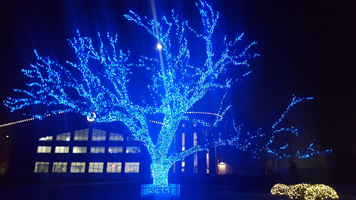 Community Center «Flower Mound Community Activity Center», reviews and photos, 1200 Gerault Rd, Flower Mound, TX 75028, USA