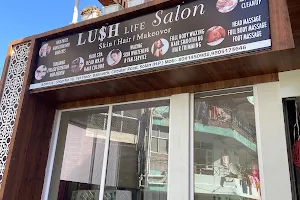 Lush life Salon image