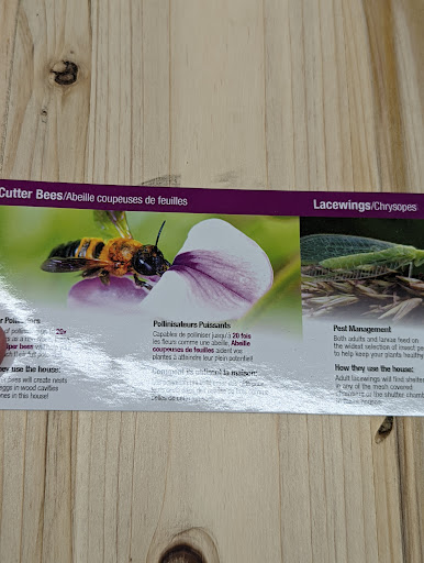 Grocery Store «Grocery Outlet Bargain Market», reviews and photos, 1203 N State St, Ukiah, CA 95482, USA