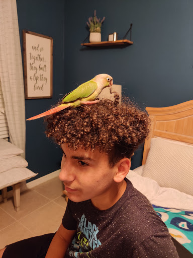 Pet Store «The Amazon Pet Store», reviews and photos, 2936 Del Prado Blvd, Cape Coral, FL 33904, USA