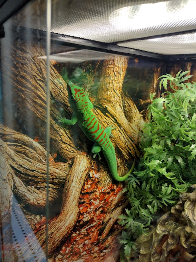 Pet Store «The Enclosure», reviews and photos, 1820 Golden Mile Hwy, Pittsburgh, PA 15239, USA