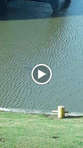 Casino «Boomtown Casino & Hotel New Orleans», reviews and photos, 4132 Peters Rd, Harvey, LA 70058, USA