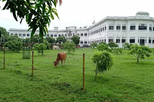 Anandbag Botanical Garden image