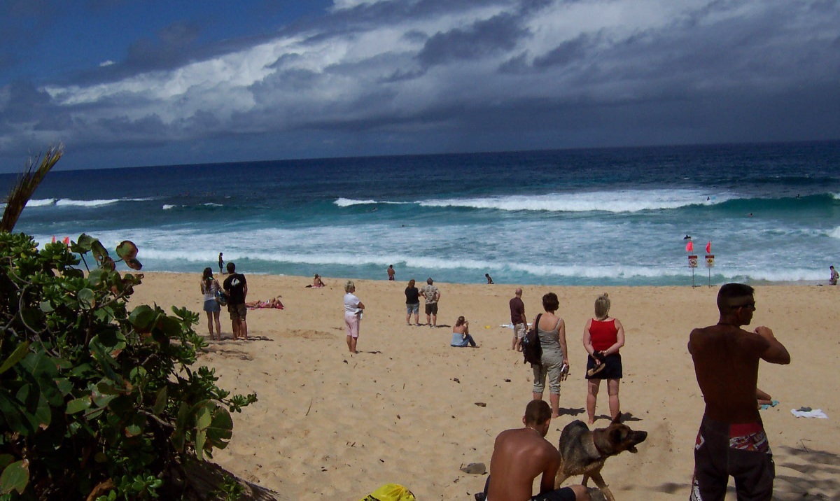 Ehukai Beach的照片 带有碧绿色纯水表面