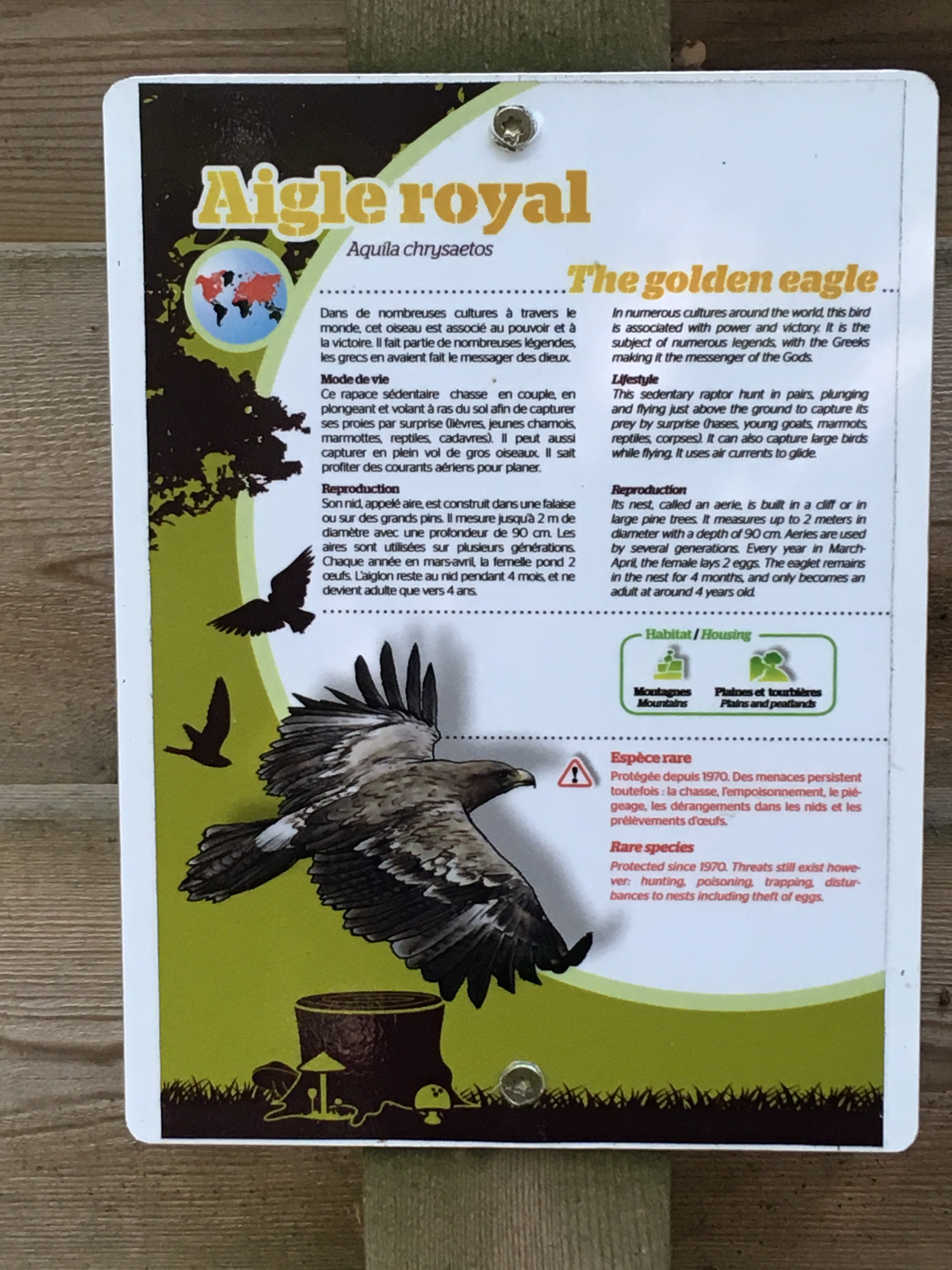 Photo n° 14 de l'avis de Kad.o fait le 12/07/2020 à 13:08