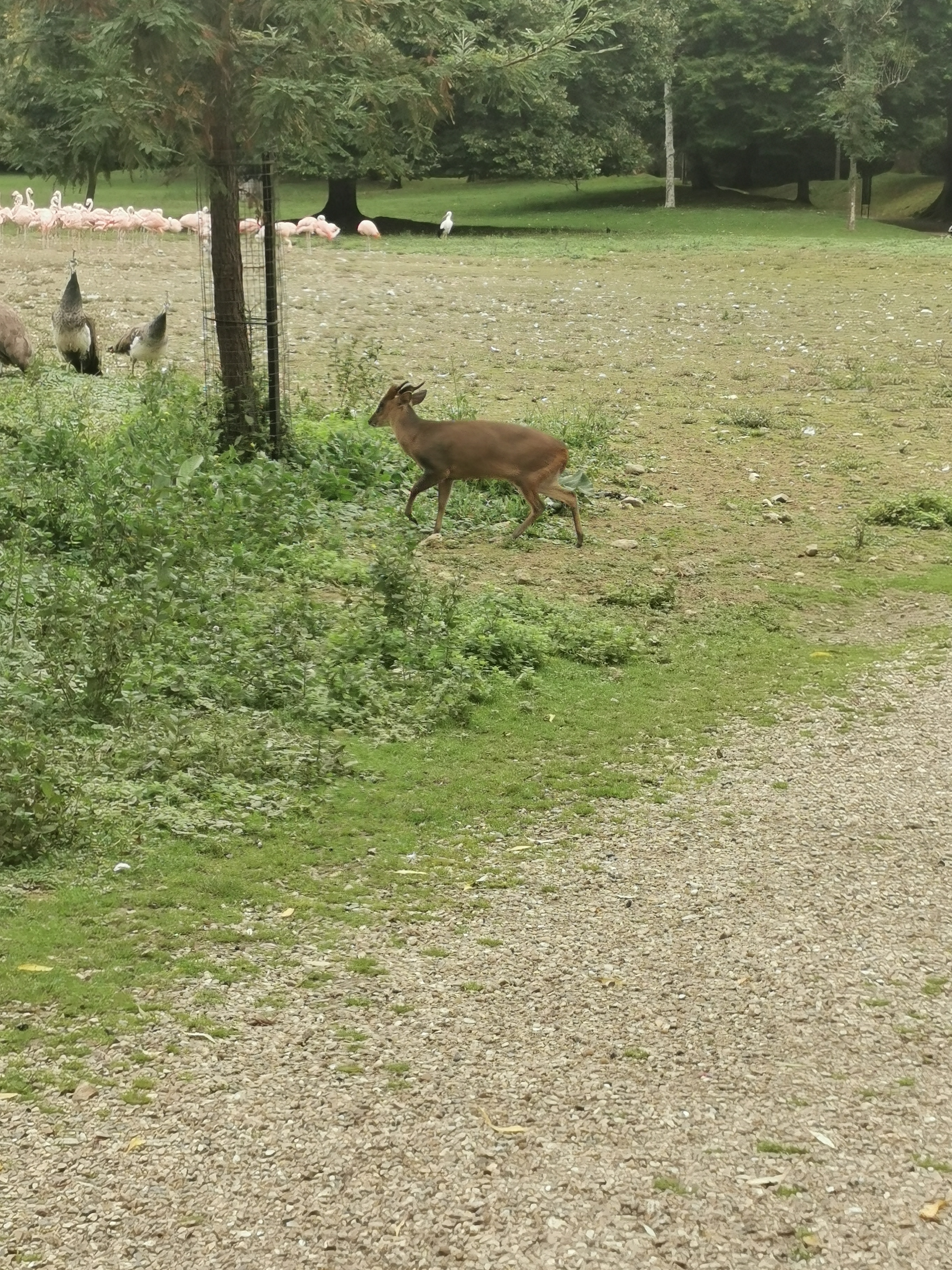 Photo n° 4 de l'avis de Axelle.o fait le 28/09/2021 à 08:59