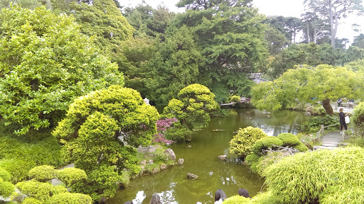Historical Landmark «Painted Ladies», reviews and photos, Steiner St, San Francisco, CA 94117, USA