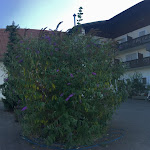 Photo n°1 de l'avis de Michael.o fait le 22/08/2018 à 14:31 sur le  Hotel Hiemer mit Amendinger Stuben à Memmingen