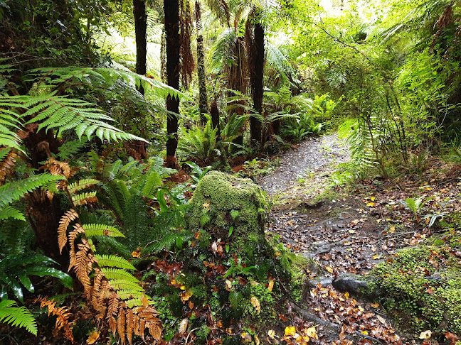 Reviews of Ruggedy Range™ Wilderness Experience & Tours - Stewart Island in Invercargill - Travel Agency