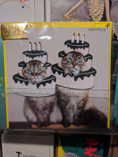 Greeting Card Shop «Papyrus», reviews and photos, 18 John F. Kennedy St, Cambridge, MA 02138, USA