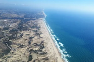 Dune nature reserve image
