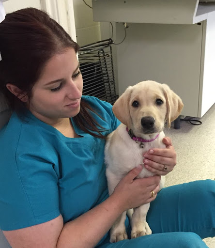 West Park Veterinary Services image