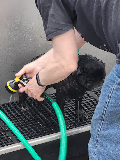 Pet Supply Store «Pet Supplies Plus», reviews and photos, 646 Long Hill Rd, Groton, CT 06340, USA