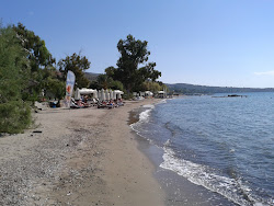 Paralia Marathona'in fotoğrafı geniş bir kıyı şeridi ile birlikte