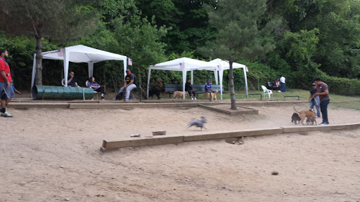 Dog Park «Forest Park Dog Run», reviews and photos, 8445 Park Ln S, Woodhaven, NY 11421, USA