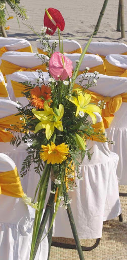 Floreria de Jesús