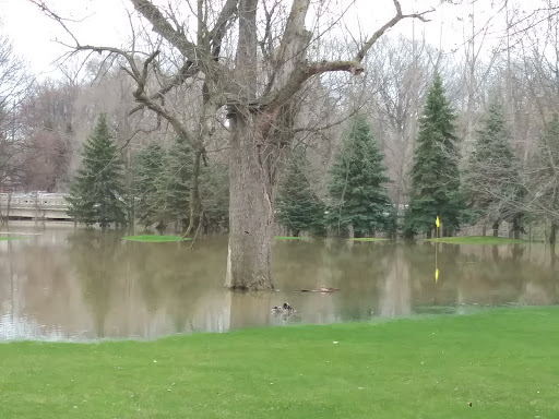 Banquet Hall «Burning Tree Golf & Country Club», reviews and photos, 22871 21 Mile Rd, Macomb, MI 48044, USA