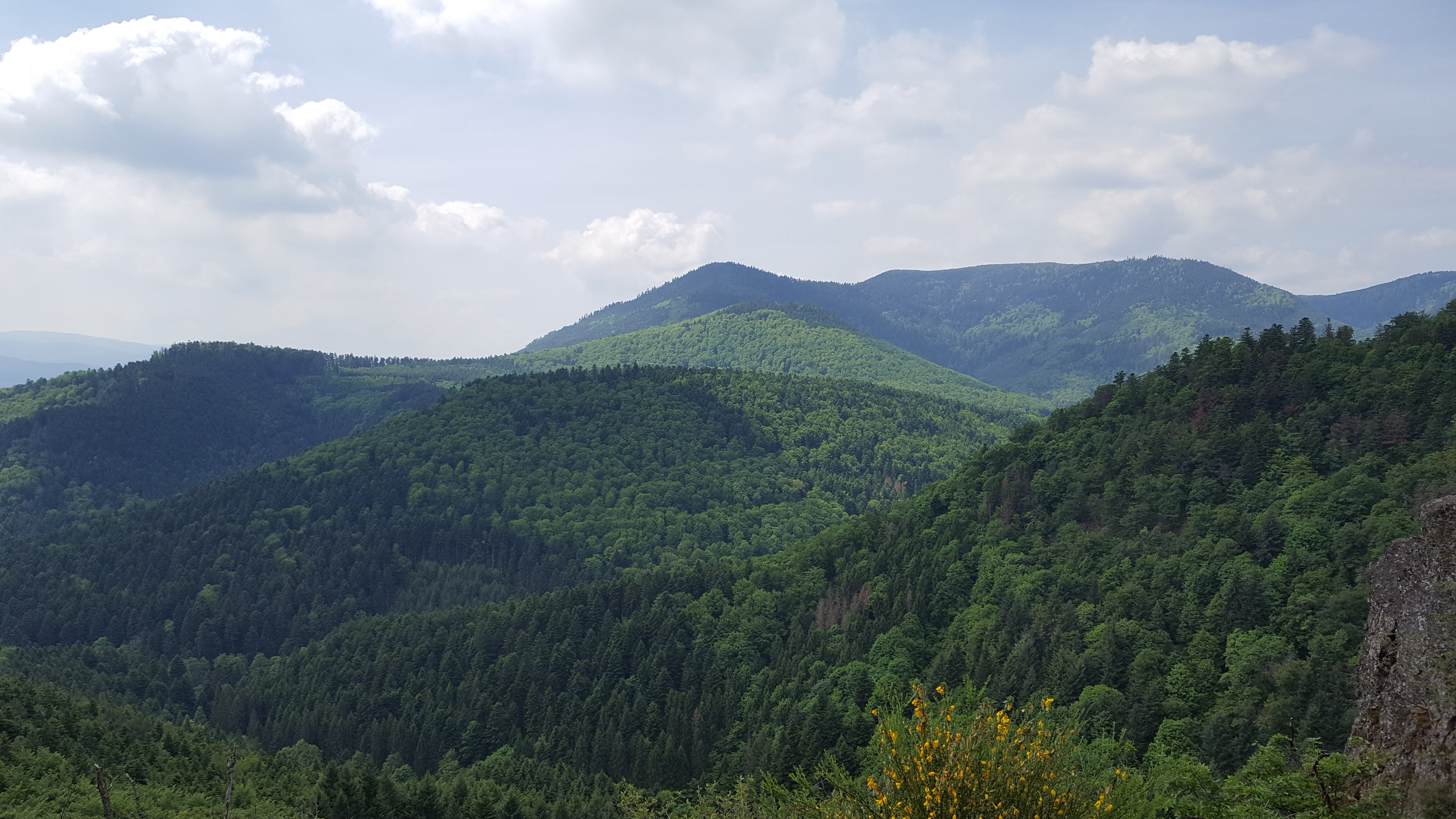 Photo n° 3 de l'avis de Aurelien.p fait le 25/05/2017 à 18:33