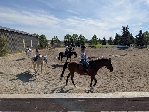 Horse riding schools Calgary