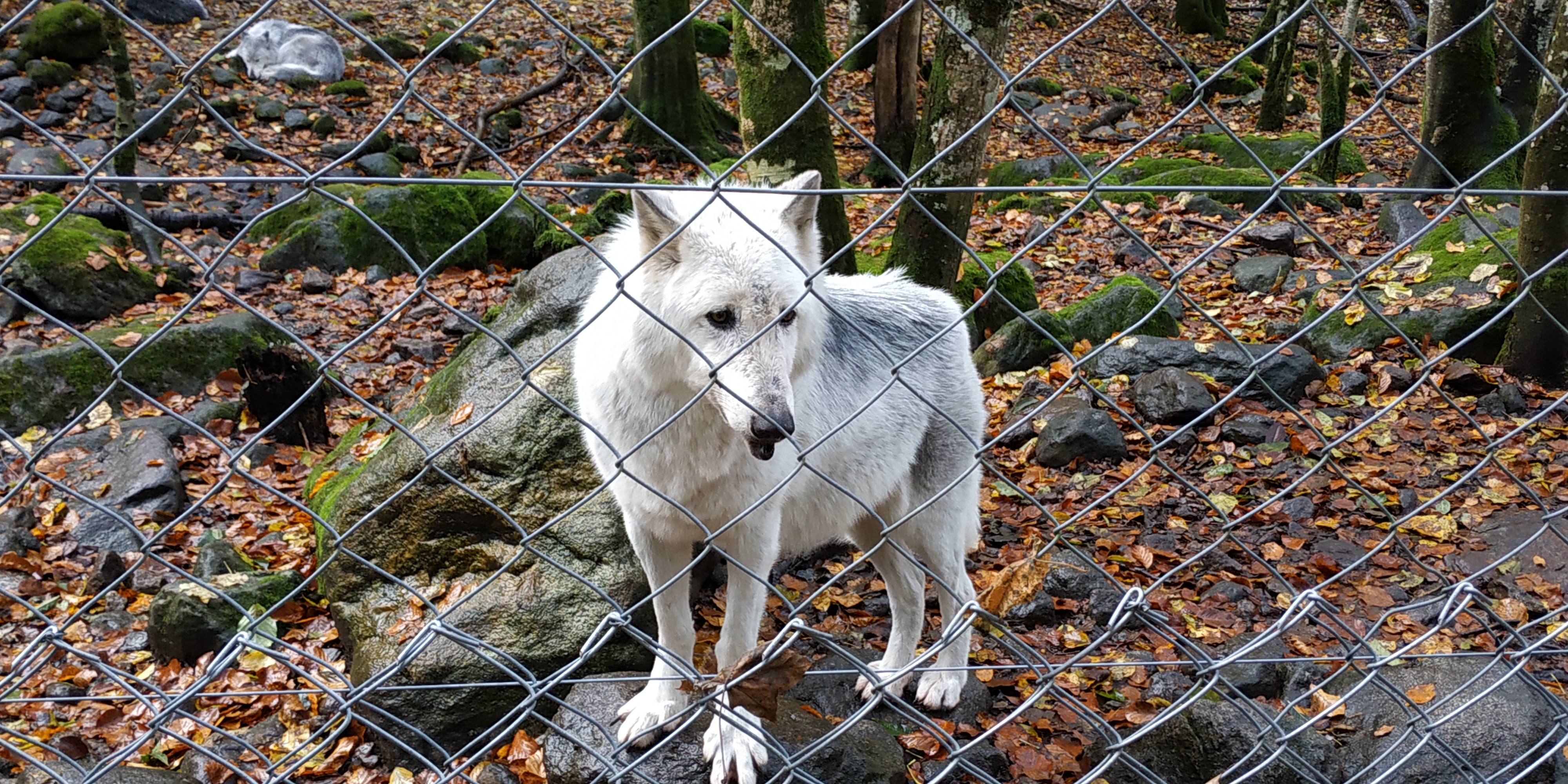 Photo n° 6 de l'avis de nanard.o fait le 09/11/2018 à 10:39