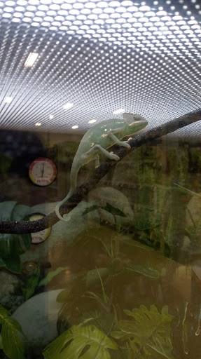 Pet Supply Store «Petco Animal Supplies», reviews and photos, 7625 Jolly Ln, Brooklyn Park, MN 55428, USA