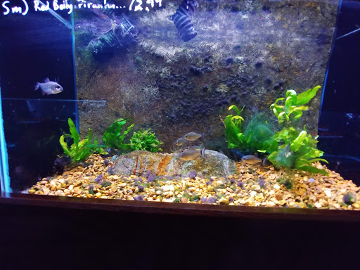 Pet Store «Wet Pets And Friends», reviews and photos, 3695 Washington Rd, Canonsburg, PA 15317, USA