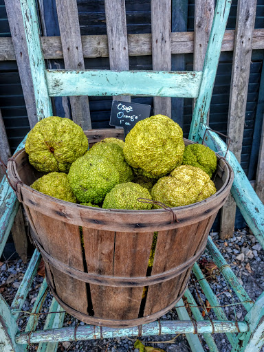 Antique Furniture Store «Hip and Humble», reviews and photos, 401 E Main St, Berryville, VA 22611, USA