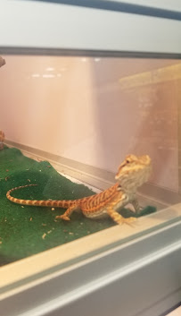 Pet Supermarket - Photo 5 - Car repair in Marietta, GA, Atlanta