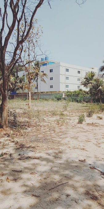 Google Maps image 19