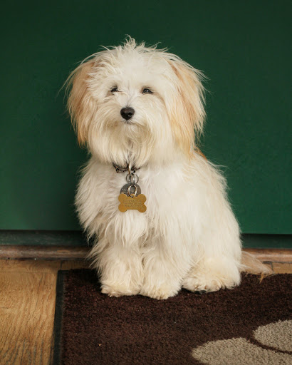 Dry Cleaner «Callander Cleaners», reviews and photos, 256 E Whittier St, Columbus, OH 43206, USA