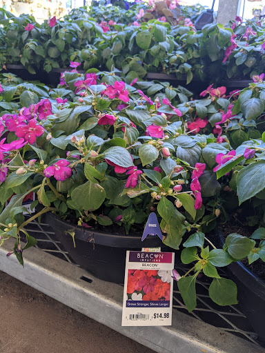 Home Improvement Store «The Home Depot», reviews and photos, 782 PA-113, Souderton, PA 18964, USA