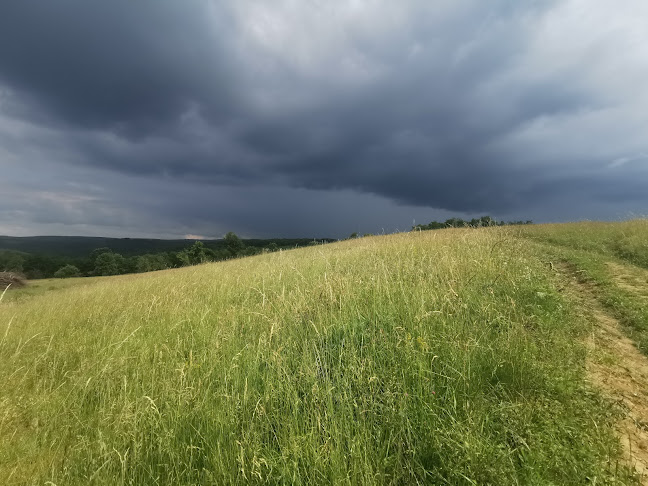 Abaligeti tető