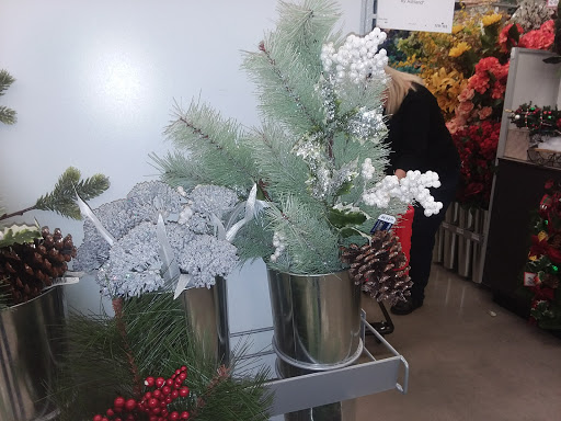 Craft Store «Michaels», reviews and photos, 1011 University Blvd #110, Suffolk, VA 23435, USA