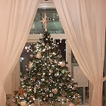 Photo n°5 de l'avis de Olga.D fait le 10/12/2022 à 19:34 sur le  Pizzeria Il Cantuccio à Marina di Pietrasanta