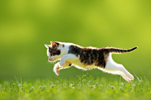 11 Industrial Dr, Holden, MA 01520, USA