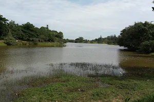 Represa 1 João Gasparini image