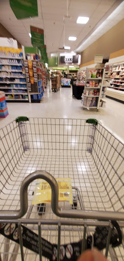 Pharmacy «Publix Pharmacy at Twelve Oaks Plaza», reviews and photos, 7018 W Waters Ave, Tampa, FL 33634, USA