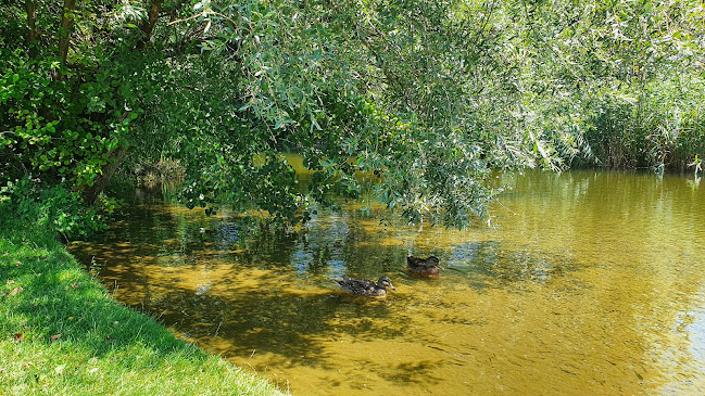 Stadtpark, Quellenstrasse 6, 8610 Uster, Schweiz