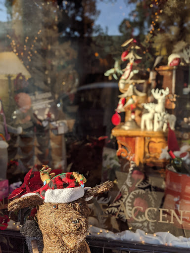 Toy Store «Dinosaur Farm», reviews and photos, 1510 Mission St, South Pasadena, CA 91030, USA