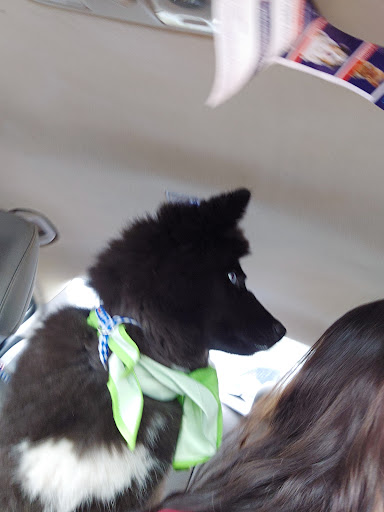 Pet Supply Store «Petco Animal Supplies», reviews and photos, 1893 W Main St, Troy, OH 45373, USA