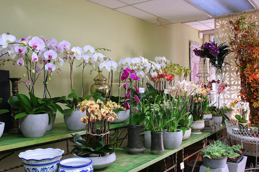 Florist «LARCHMONT VILLAGE FLORIST», reviews and photos, 420 N Larchmont Blvd, Los Angeles, CA 90004, USA